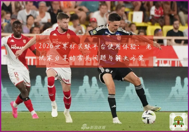 2026世界杯买球平台使用体验:老玩家分享的常见问题与解决方案