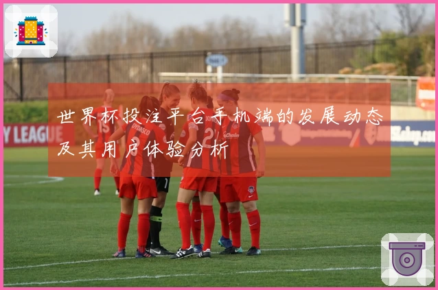 世界杯投注平台手机端的发展动态及其用户体验分析