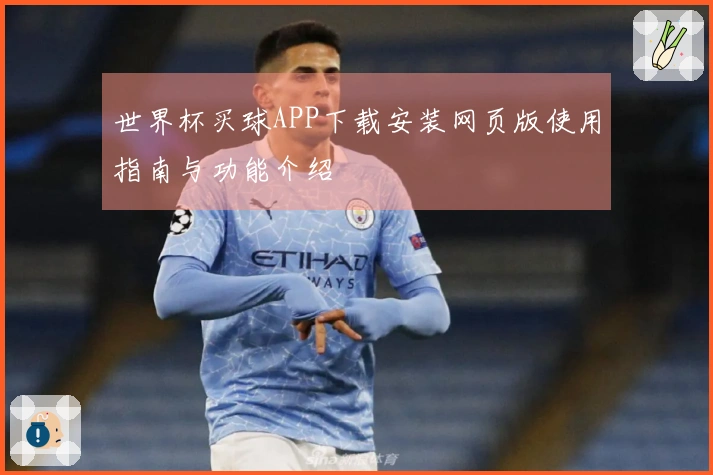 世界杯买球APP下载安装网页版使用指南与功能介绍