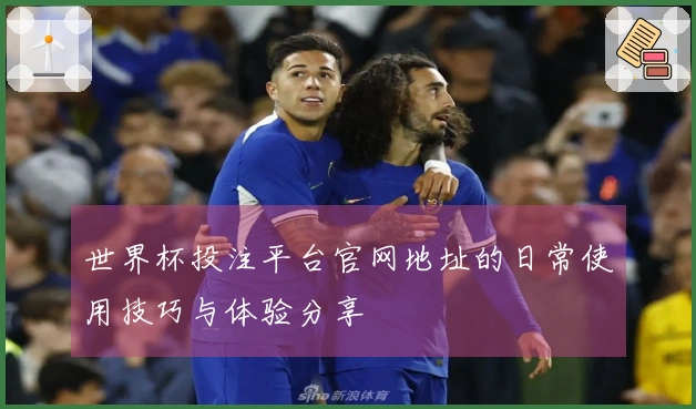 世界杯投注平台官网地址的日常使用技巧与体验分享