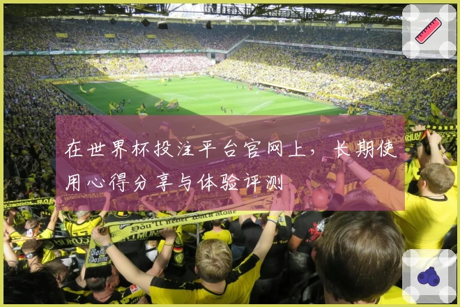 在世界杯投注平台官网上，长期使用心得分享与体验评测