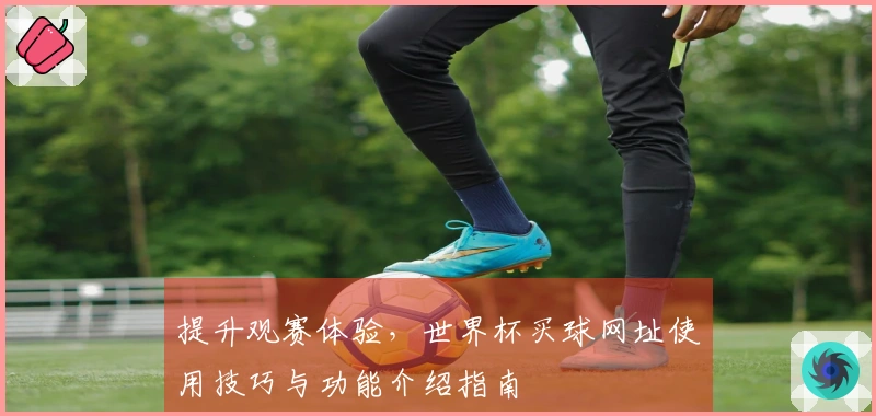 提升观赛体验，世界杯买球网址使用技巧与功能介绍指南