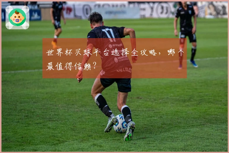 世界杯买球平台选择全攻略，哪个最值得信赖？