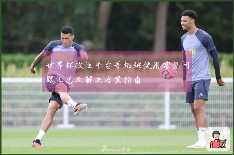 世界杯投注平台手机端使用常见问题汇总及解决方案指南