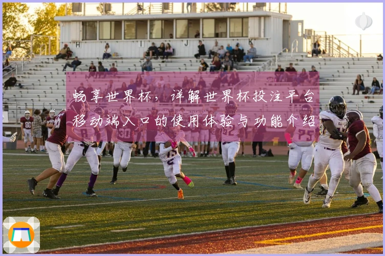 畅享世界杯，详解世界杯投注平台移动端入口的使用体验与功能介绍